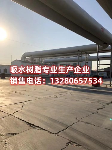 探索吸水性强的单体树脂：类型和应用一览