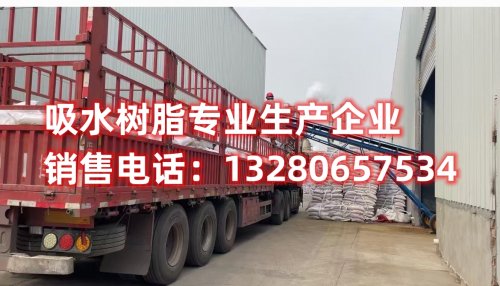 吸水树脂：探索其在尿不湿制造中的潜力
