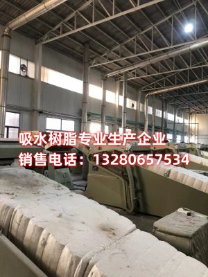 甘肃吸水树脂厂 | 突破吸水技术，引领新潮流