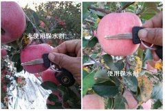 林业抗旱保水剂